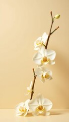 Vanilla sticks and orchid flowers floating gracefully against a serene beige backdrop, vanilla,  flowers