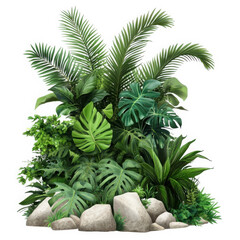 Fototapeta premium Tropical jungle plants and monstera leaves with grey rocks, lush green exotic foliage arrangement, botanical garden greenery on white background