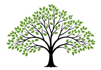 Tree silhouette with spreading branches and green leaves on white background