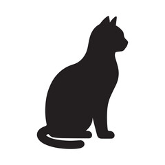 black cat isolated on white