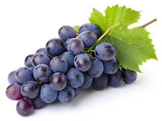 Bunch of Ripe Blue Grapes &ndash; Vibrant Fresh Fruit on Dark Background