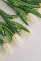 Close-up of white tulips arranged diagonally with green leaves on a white background. A soft, minimal composition symbolizing freshness and spring beauty