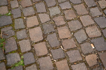 old grey paving slabs with green grass in the background, paving stones with grass growing in the...