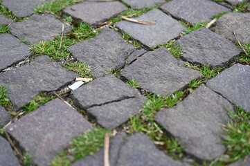 Old cobblestone pavement with green grass growing between stones. Irregular gray stones form a vintage walkway texture. Perfect for background or design projects with urban, historical or natural them