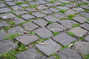 Old cobblestone pavement with green grass growing between stones. Irregular gray stones form a vintage walkway texture. Perfect for background or design projects with urban, historical or natural them