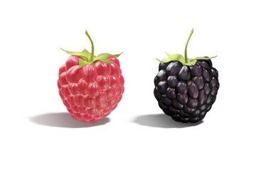 Raspberry and blackberry berries standing mockup, front view