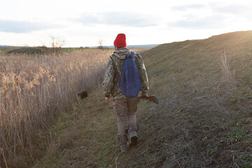 Mature hunter man holding a shotgun and walking through a field