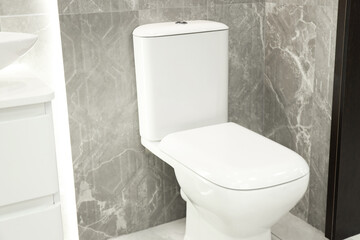 Stylish bathroom with toilet bowl near tiled wall. Interior design