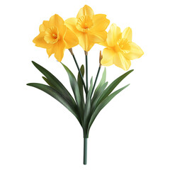 A 3D Vibrant Daffodil Plant with Large Bright Yellow Flower Isolated on Transparent Background