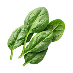 Obraz premium spinach leaves isolated on transparent background 
