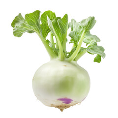 High-resolution kohlrabi centered on png transparent background,