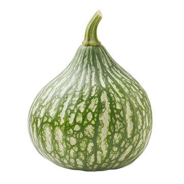 High-resolution pointed gourd centered on white background