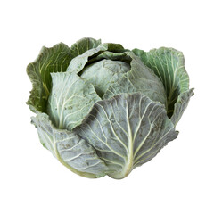 Fototapeta premium Fresh green cabbage displayed from the side on transparent background,