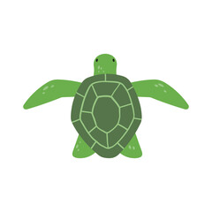 Cartoon Sea Turtle Illustration
