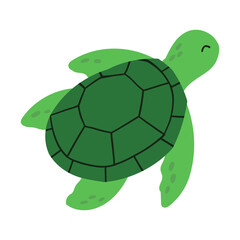 Cartoon Sea Turtle Illustration