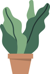 Potted house plant vector illustration
