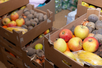 Natural eco friendly organic vegetables in cardboard boxes at agricultural harvest shop. Various freshly harvested bio fruits and vegetables, beetroots, apples, banana, onion.