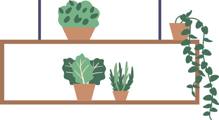 Greens in pot on shelf