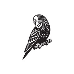 A vector illustration of a Budgerigar (Budgie), perfect for bird designs, wildlife projects, and educational materials showcasing small exotic birds. Ideal for creative and artistic work.