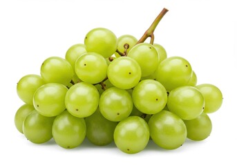 A bunch of green grapes with a stem attached isolated on a white background in a close up view