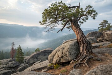 Unique Tree on Rocky Terrain Overlooking Misty Mountains Generative AI