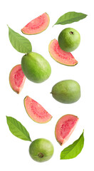 Fresh guava fruits and leaves flying on white background