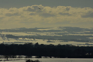 winter landscape in the mountains