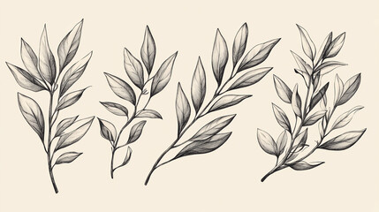 Naklejka premium Botanical leaf drawing vector illustration for graphic design and nature related projects and decoration use