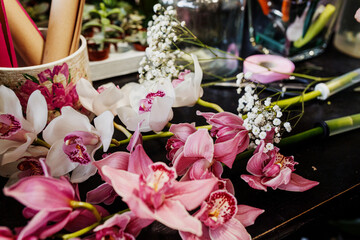Colorful selection of orchids and baby's breath arranged in a floral workshop during daylight hours