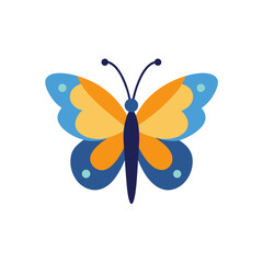 butterfly vector illustration
