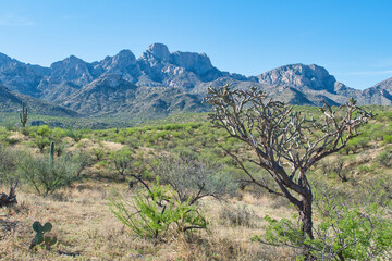 Catalina Regional Park, Tucson, Arizona