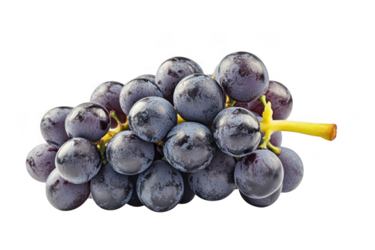 A bunch of dark grapes with a yellow stem on a dark background on transparent background