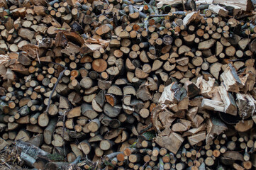 Piles of neatly arranged firewood await use in a cozy rural environment surrounded by trees, ready for the cold months ahead