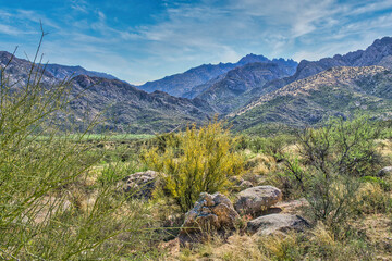 Catalina Regional Park, Tucson, Arizona