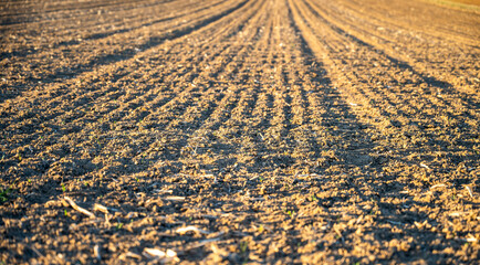 plowed field with tractor wheel marks in the rays of the setting sun