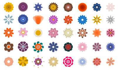 2D flat vector illustration flowers and shapes for artistic floral composition botanical colorful period references retro vintage