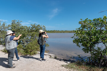 Three women watch birds at the edge of a wetland.