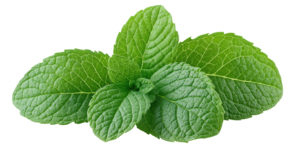 Let me know if you'd like a shorter or more creative version!