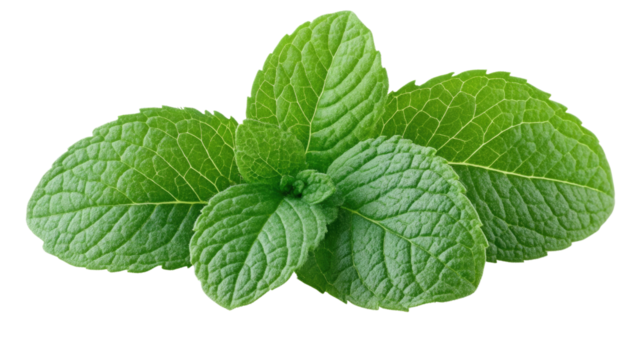 Let me know if you'd like a shorter or more creative version!