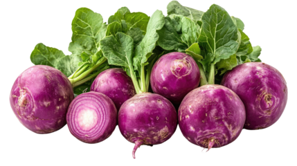 You've reached our limit of messages per hour Please try again later