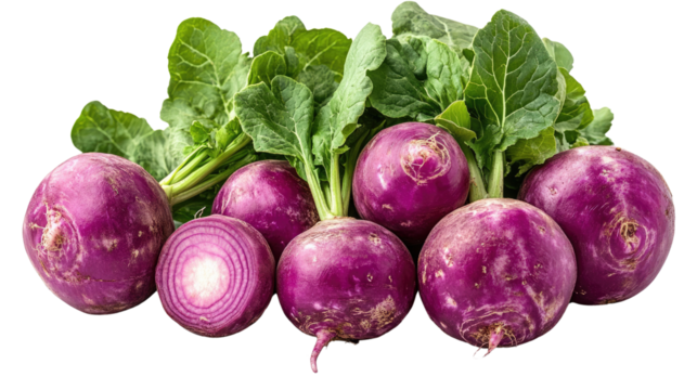 You've reached our limit of messages per hour Please try again later