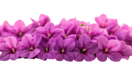 You've reached our limit of messages per hour Please try again later