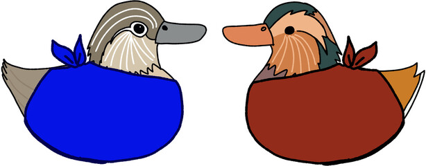 mandarin duck for wedding