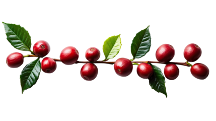 You've reached our limit of messages per hour Please try again later