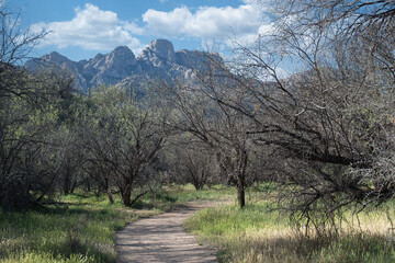 Catalina Regional Park, Tucson, Arizona