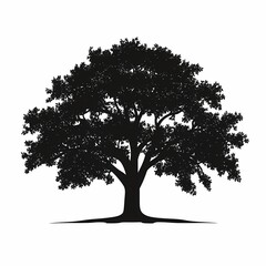 Tree Silhouette Illustration: Nature's Deciduous Beauty in a Peaceful Forest