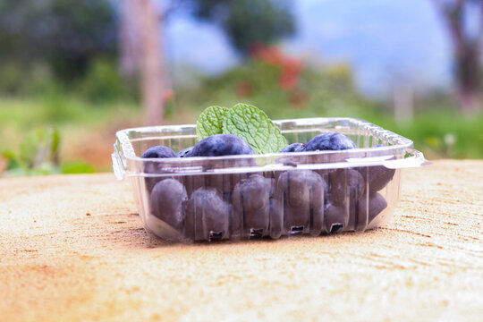 Ar&aacute;ndanos morados frescos y deliciosos