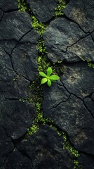 Close-up of fresh green moss growing in the cracks of a weathered urban sidewalk