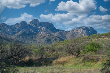 Catalina Regional Park, Tucson, Arizona