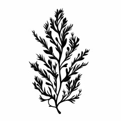 Fototapeta premium Tropical Plant Silhouette: Minimalist Botanical Art with Natural Leaf Elements for Eco-Friendly Design